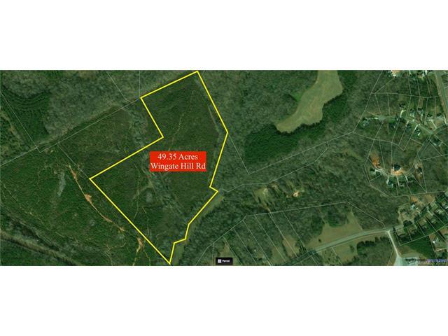 Approx. 49.35 Acres Wingate Hill Road - Photo 1