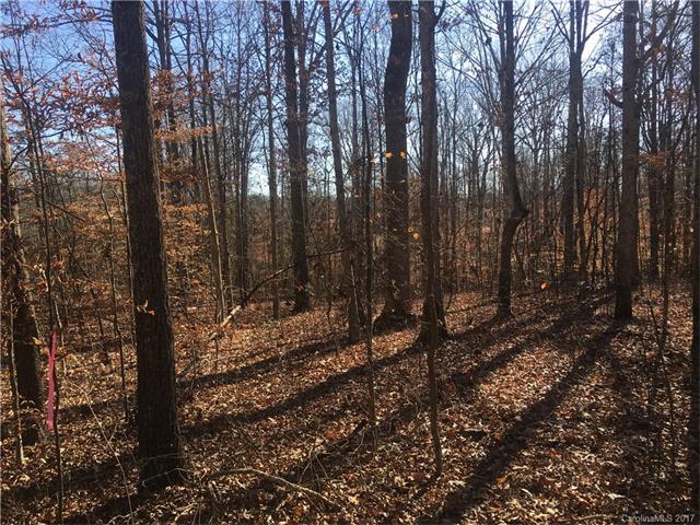 000 Sulphur Branch Road - Photo 1