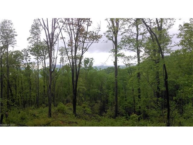 0000 Meadow Lane - Photo 1