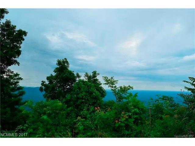 1001 Wolf Pen Road - Photo 1