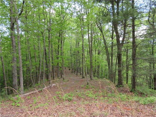 154 Turkey Trot Trail - Photo 1