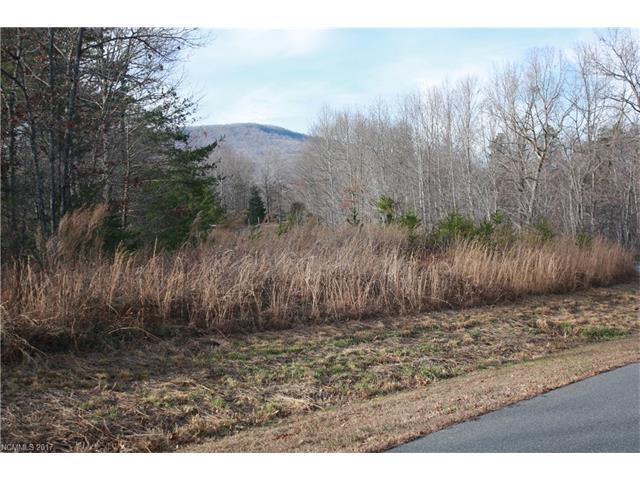 00 Fallen Tree Lane - Photo 1