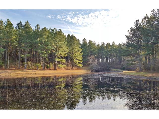15151, 15150 & 15161 Short Cut Road - Photo 1
