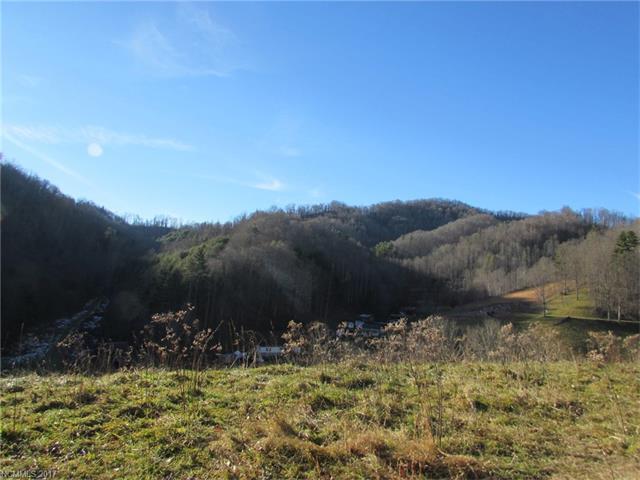 000 Lotties Creek Road - Photo 1