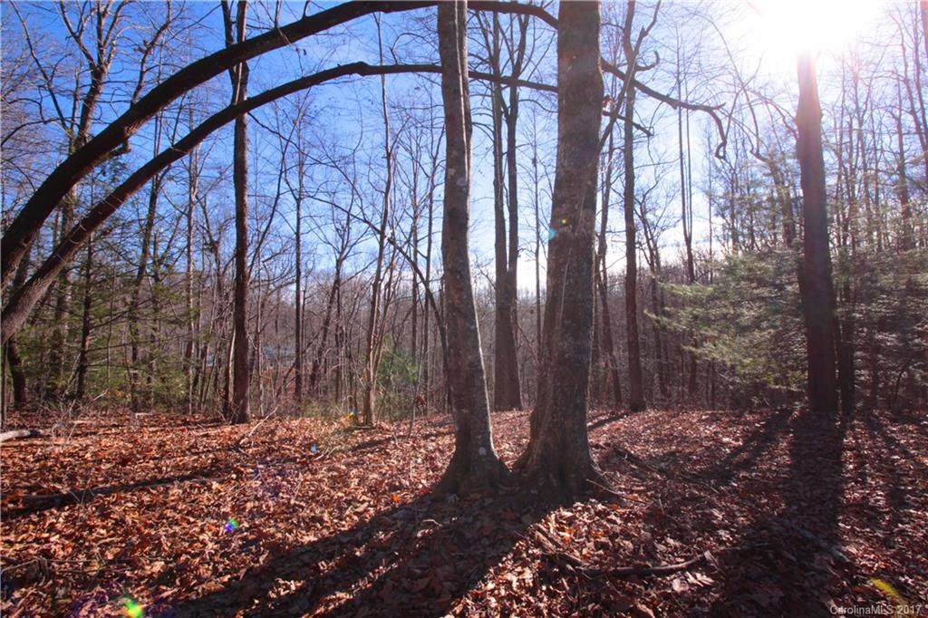 Lot 19A Tranquilite Drive - Photo 1