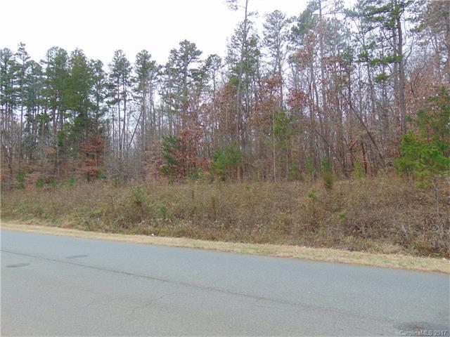 3 Minnie Lemmond Lane - Photo 1