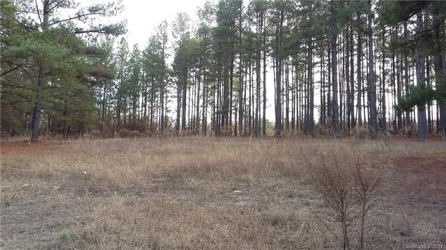0 Mcmillian Road - Photo 1