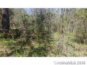 0000 Lonnie Walker Road - Photo 1 0000 Lonnie Walker Road - Photo 1