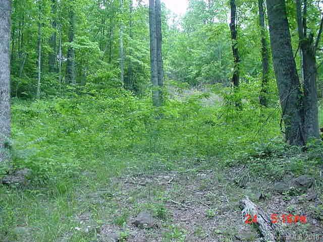 Lot 16 Red Hawk Road - Photo 1
