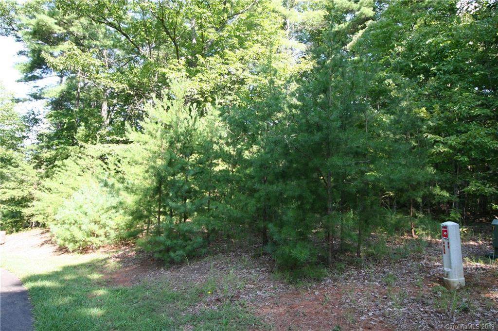LOT 4 & LOT 5 Settlers Trail - Photo 1