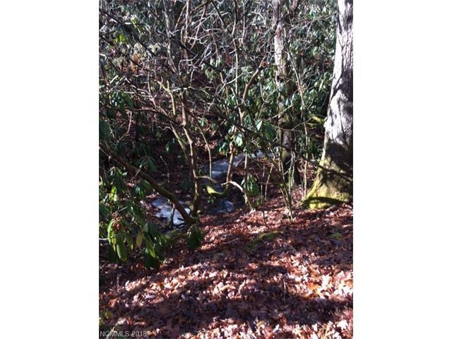 TBD East Fork Road - Photo 1