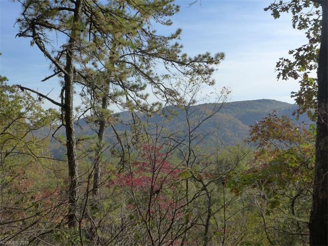 3851 East Fork Road - Photo 1