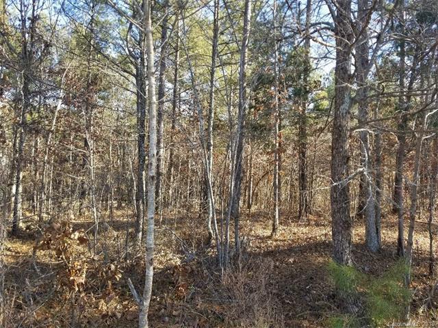 13728 Pavilion Estates Drive - Photo 1