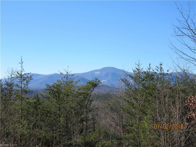 Lot 24 Laurel Lakes Parkway - Photo 1
