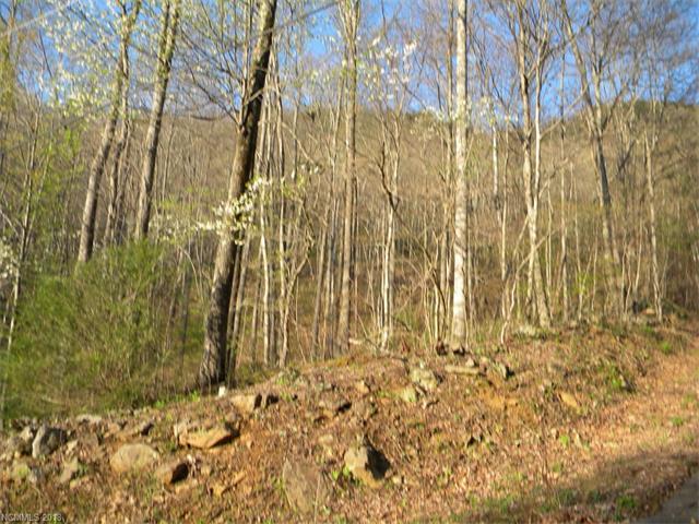 Lot 17 Horse Cove Road - Photo 1