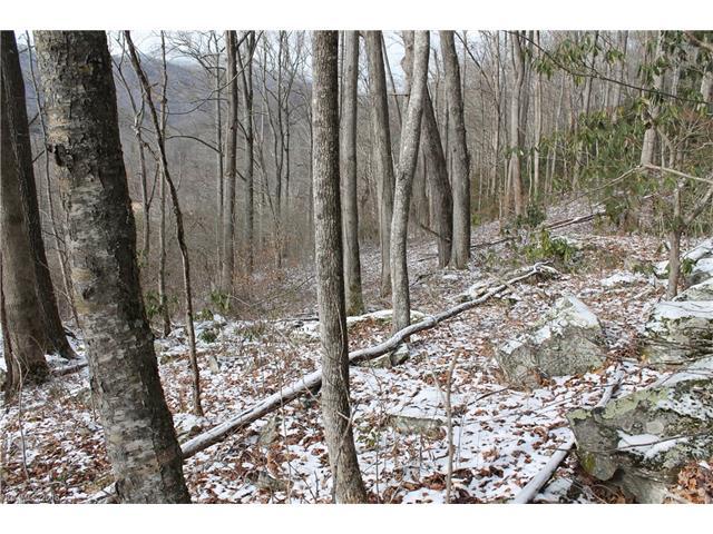 11 & 12 Wayward Cove - Photo 1