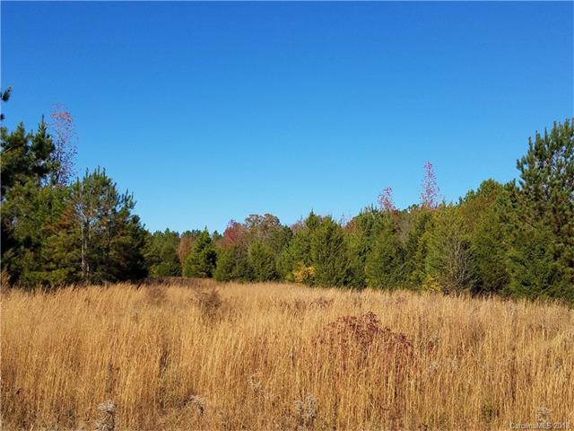 00 York Highway - Photo 1