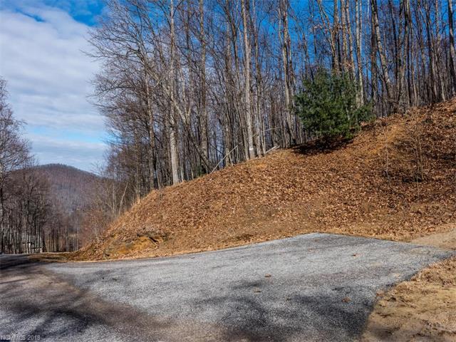 1158 Standing Deer Trace - Photo 1