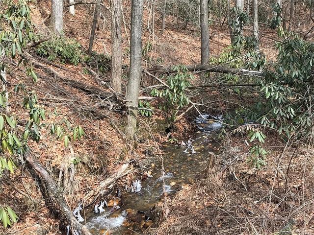 00 Creekside Loop - Photo 1