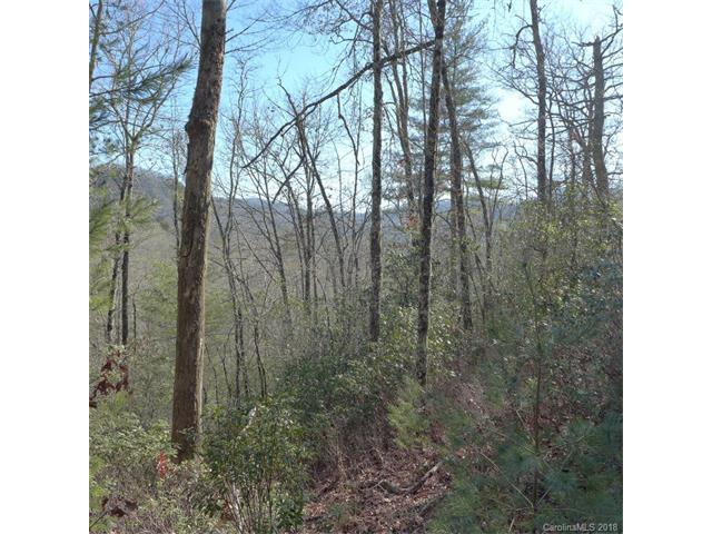 18 lot package Laurel Thicket Lane - Photo 1