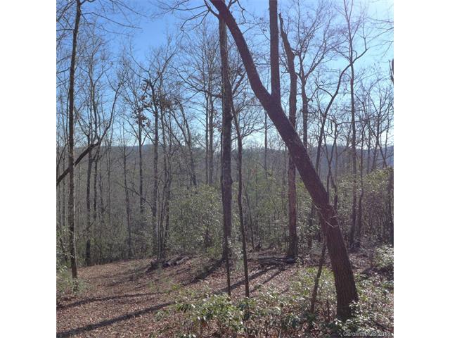 105 Green Hollow Lane - Photo 1