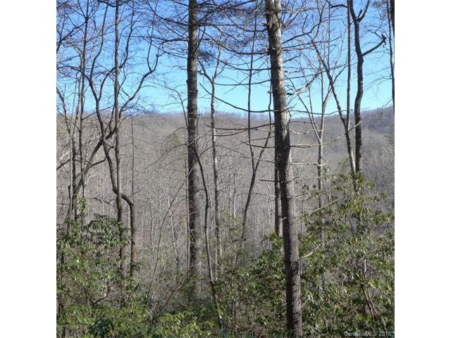 128 Twisted Tree Lane - Photo 1