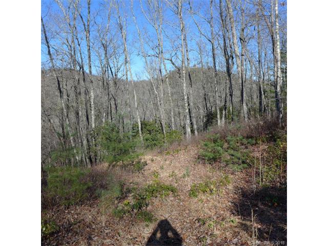103 Laurel Thicket Lane - Photo 1