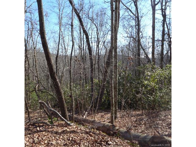 74E Lightning Path - Photo 1