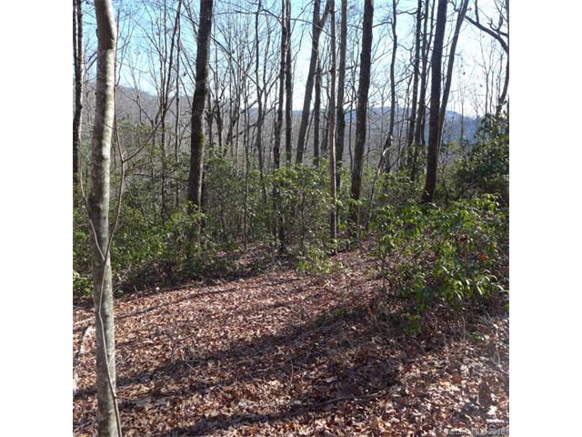 74D Lightning Path - Photo 1