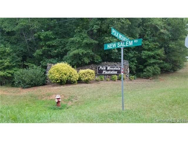 5605 Polk Mountain Drive - Photo 1