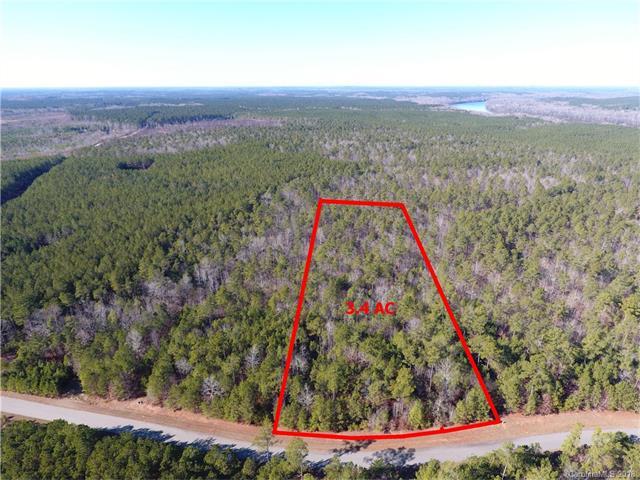 Lot 160 Riverbluff Lane - Photo 1