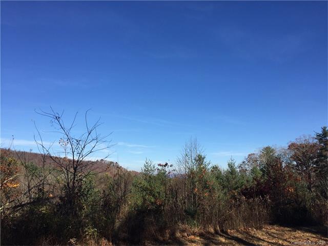 111 Horse Shoe Trail - Photo 1