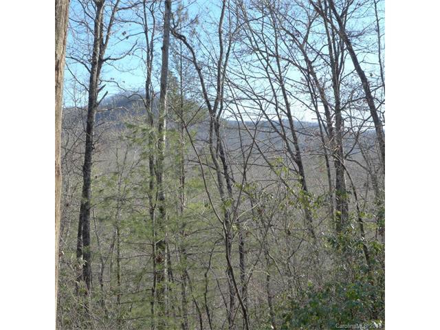 91 Laurel Thicket Lane - Photo 1