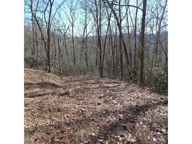 77 Laurel Thicket Lane - Photo 1