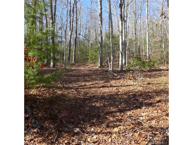 106 Green Hollow Lane - Photo 1