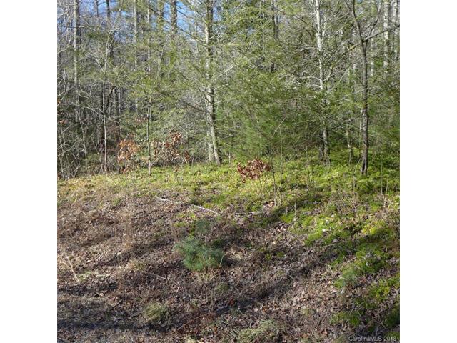 129 Green Hollow Lane - Photo 1