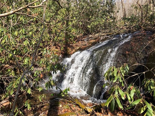 TBD Branch Falls Trail - Photo 1
