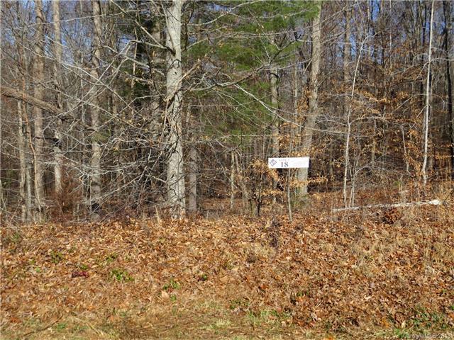 Lot #18 Forest Creek Drive - Photo 1