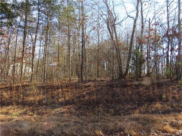 Lot #28 Forest Creek Drive - Photo 1