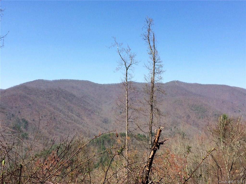 999 Mountain Creek Road - Photo 1