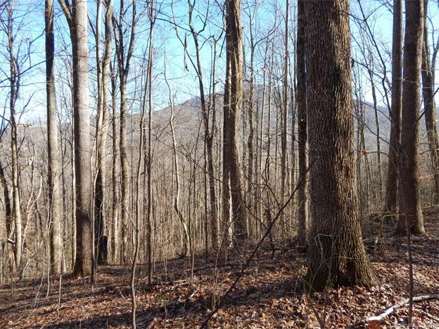 Lot 44 Fern Trail - Photo 1
