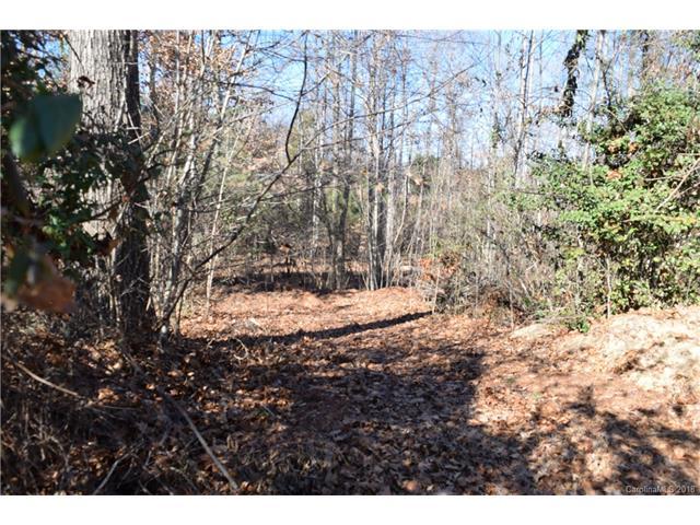 233 Catawba Crest Lane - Photo 1
