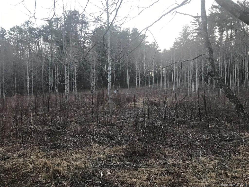 00000 Williams Road - Photo 1