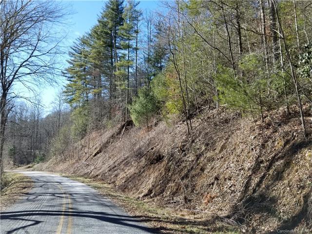 92.99 acres OFF Brush Creek Road - Photo 1