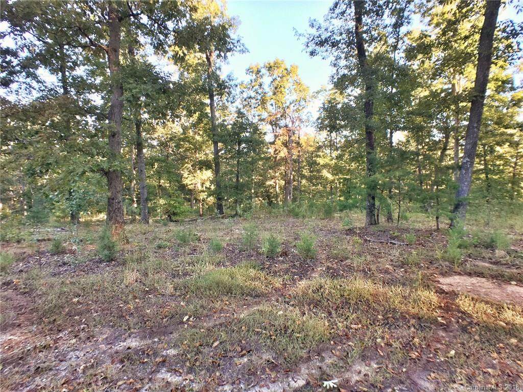 0000 New Covenant Way - Photo 1