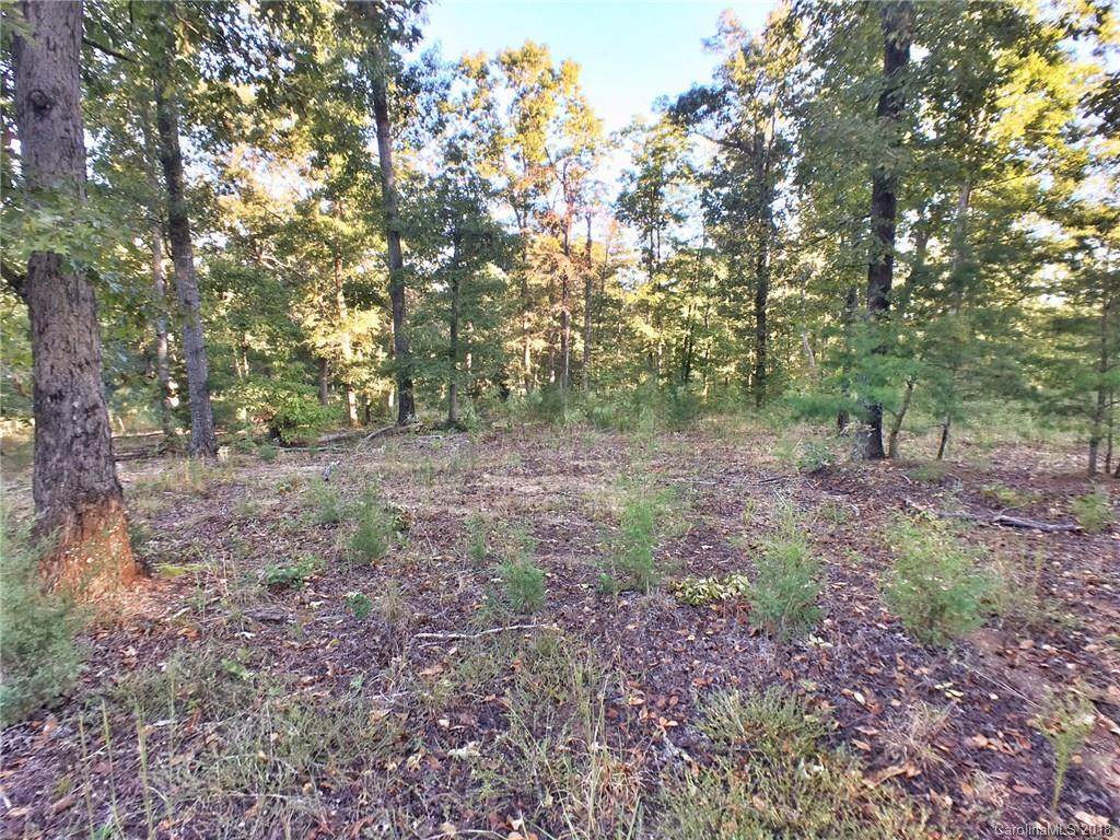 0000 New Covenant Way - Photo 1