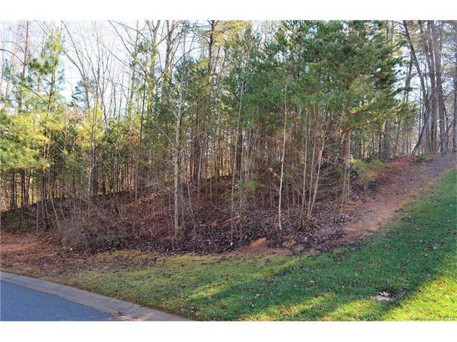 Lot 5 Juniper Lane - Photo 1