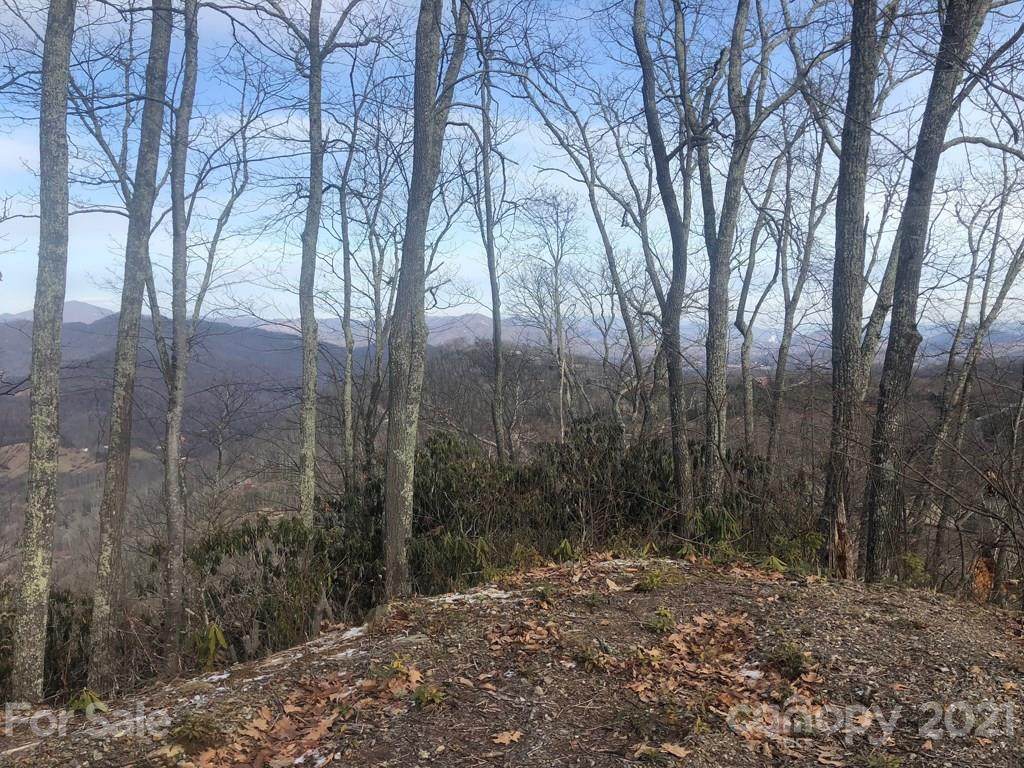 C-63 Natsi Trail - Photo 1