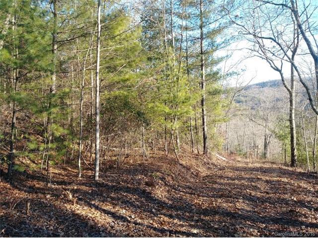 Lot #9 Honey Mountain Road - Photo 1