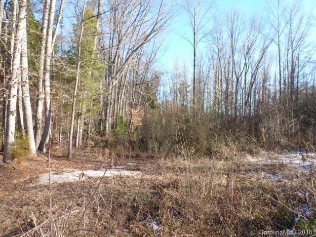 2.27 acres Van Wyck Road - Photo 1